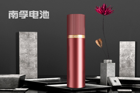 南孚電池