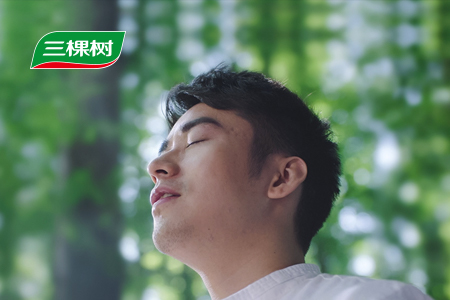三棵樹